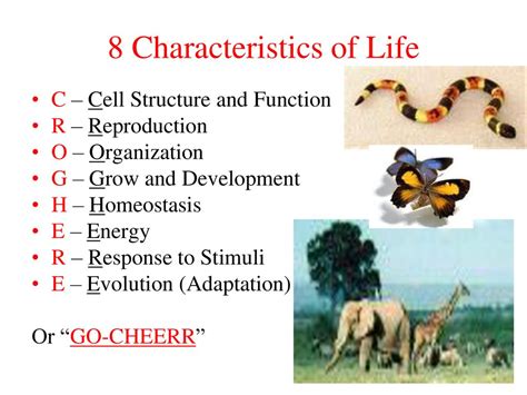 Biology The Study Of Life Ppt Download