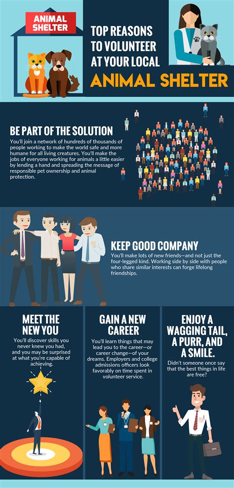 Top Reasons to Volunteer at your local Animal Shelter