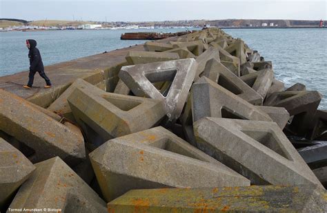 Tetrapod Breakwater Coastal Landscape Concrete