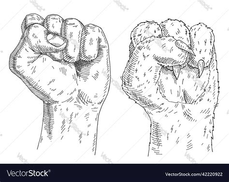 Cat Paw And Human Hand With A Clenched Fist Vector Image