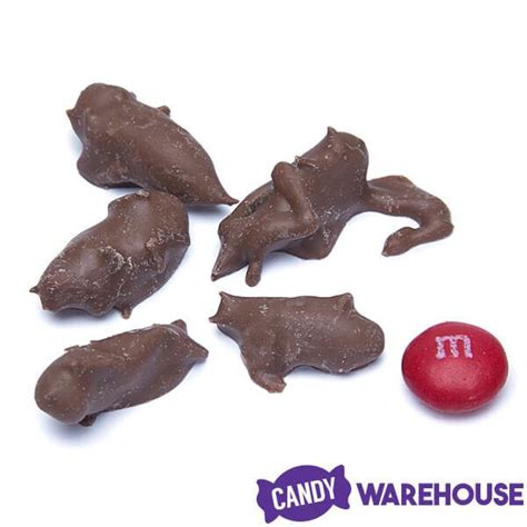 Chocolate Covered Crickets 100 Piece Tub Candy Warehouse