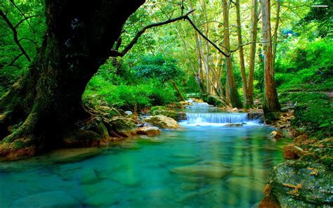Beautiful River Wallpapers 41 Images