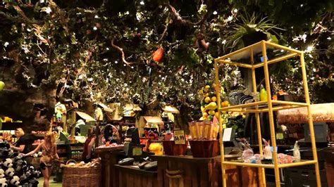 See 7,957 unbiased reviews of rainforest cafe, rated 4 of 5 on tripadvisor and ranked #560 of 3,757 restaurants in orlando. Rainforest Cafe, Disney's Animal Kingdom, Walt Disney ...