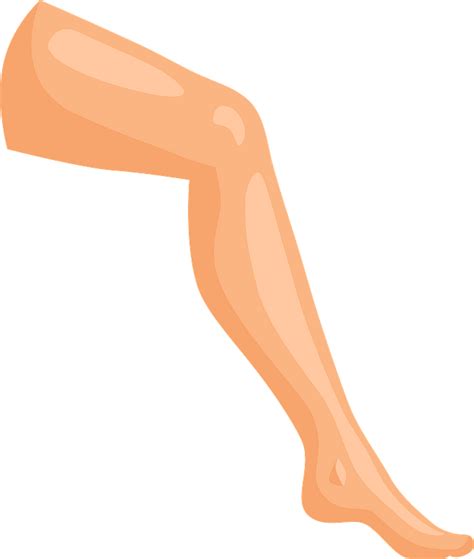 Legs Parts Of The Body Shin Oxfordlearnersdictionaries Where
