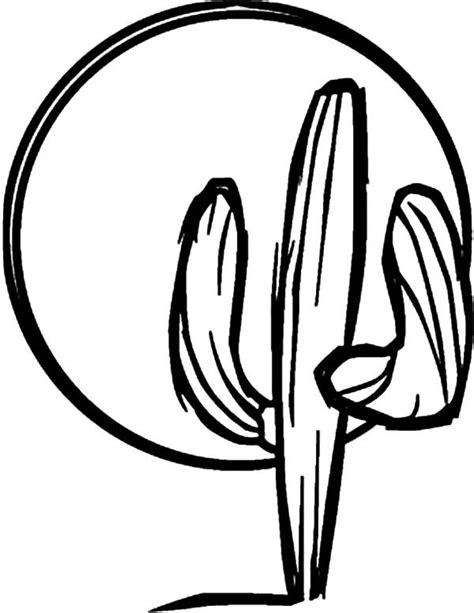 Cactus Outline Coloring Pages Best Place To Color