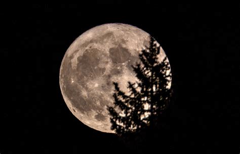 Genaue zeiten und entfernungen des vollmonds am 26. Supermond 2021 Österreich - Supermond-Horoskop: Das macht ...