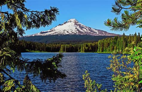 Trillium Lake At Mt Hood Forest Photograph By Athena Mckinzie