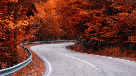 Winding Asphalt Road In Autumn Forest Red Filters Applied For Leaves