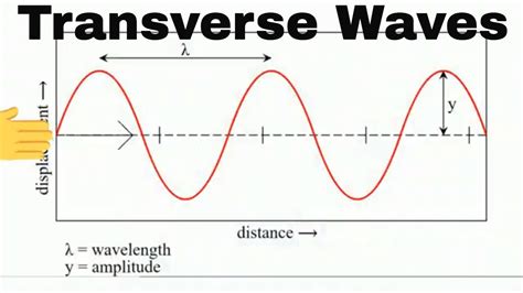 Amplitude Of A Transverse Wave