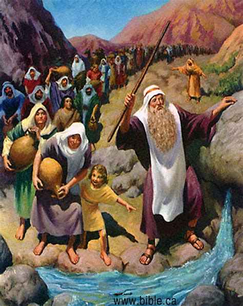 The Exodus Route Stops Mt Sinai To Years At Kadesh Barnea