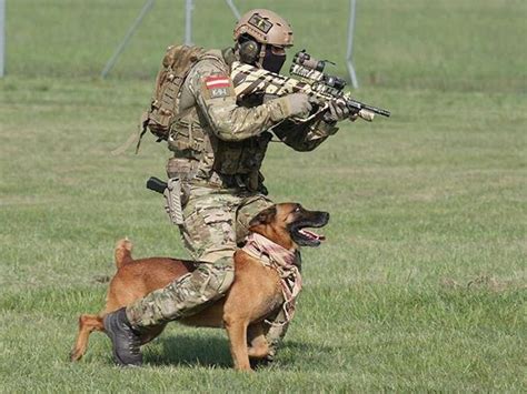 The Army K9 Handler In The Army