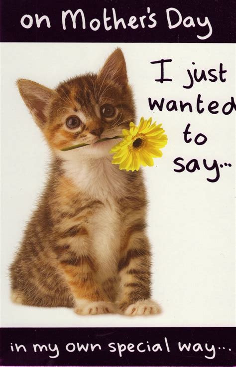 Just browse through our amazing range of mother's day cards and pick the one that you find the best. Cute Cat Happy Mother's Day Card | Cards