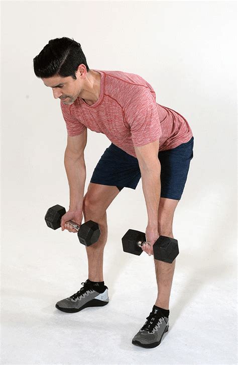 Lower Back Exercises With Dumbbells 16 Best Back Exercises Back