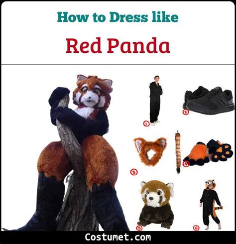 The Red Panda Costume For Cosplay And Halloween