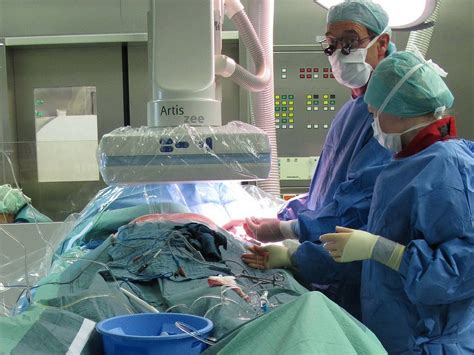 Nicht einmal bei mehr als 35 grad hitze, wie eine messung mit einer wärmebildkamera zeigte, wird den pferden in städten derzeit. Schlagwort: Krankenkassen - Zeitung der Arbeit