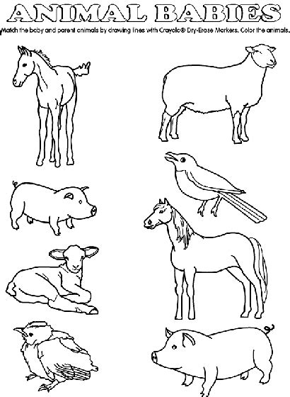 Coloring pages of animals and baby animals including fish, dog, cat, kangaroo, monkey, frog, bird, lion and lamb. Baby Animal Match Coloring Page | crayola.com