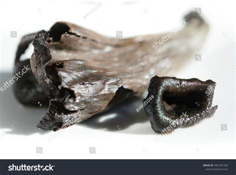 Trompette De La Mort Horn Plenty Stock Photo 1867391302 Shutterstock