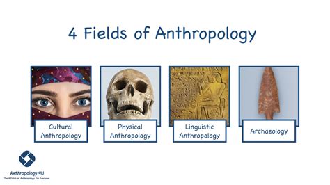 A Beginners Guide To The 4 Fields Of Anthropology Anthropology 4u