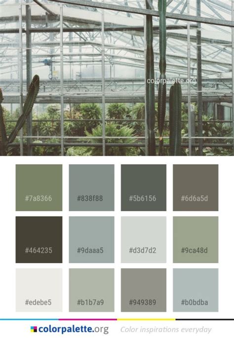 Greenhouse Color Palette Ideas