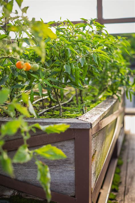 It is totally possible to start a flower or vegetable garden from scratch for practically nothing. How to Make Compost Step by Step | Better Homes & Gardens