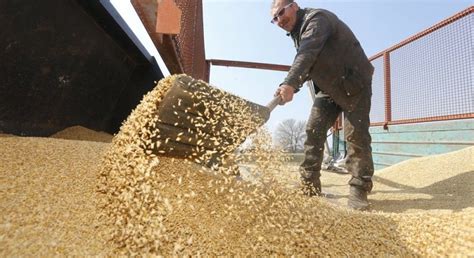 Ukraine Exports Almost 46 Mln Tonnes Of Grain Since July 1 Unian