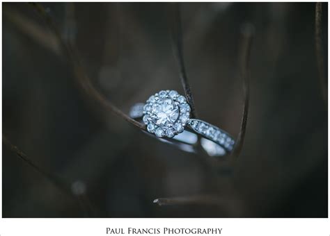 2014 Engagement Ring Shots Paul Francis Photography