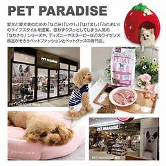Pet Paradise Free Pet Food Toys And Accessories