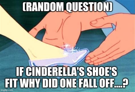 Cinderella Shoe Fits Imgflip