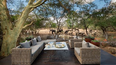 Andbeyond Ngala Safari Lodge Kruger Big Five South Africa