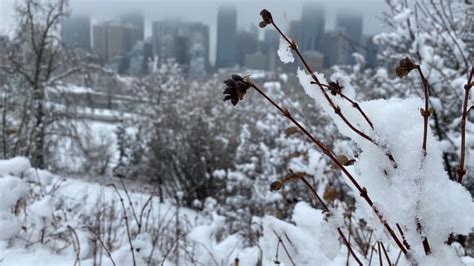 Calgary Hit With Intense But Brief Spring Snowstorm Cbc News
