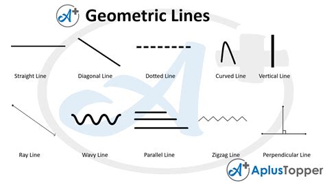 Geometry Lines Vocabulary Geometric Lines Names In English With
