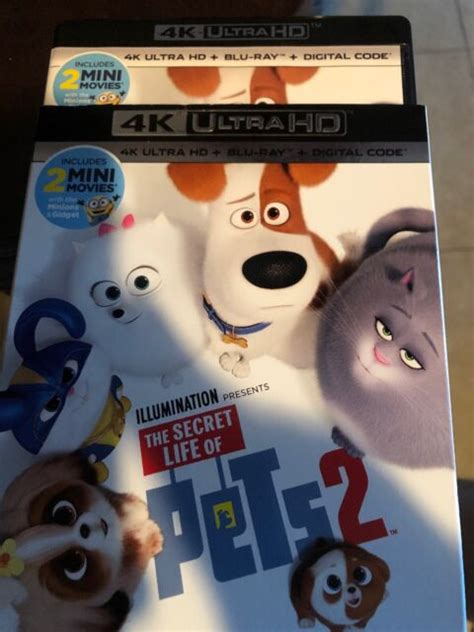 The Secret Life Of Pets 2 4k And Blu Ray Only Opened For Digital Code Ebay