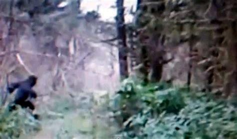 Bigfoot Video Taken In Ohio Is Shocking Video