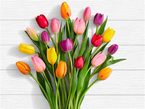 Send flower bouquets of roses, tulips, sunflowers, lilies with your trusted online florist in manila, philippines. Best Mother's Day flower delivery deals, discounts & same ...