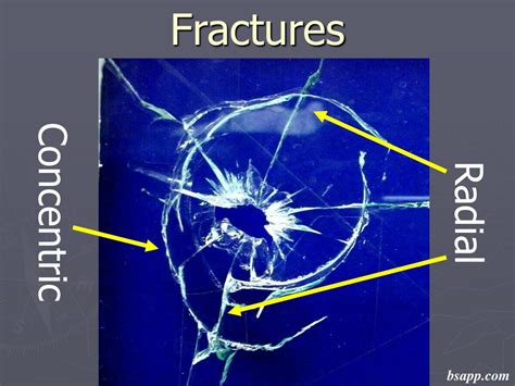 Ppt Glass Fractures Powerpoint Presentation Free Download Id 475016