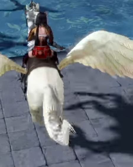 Naotora Ii Rides On An Pegasus Warriors Orochi Photo 43537547 Fanpop