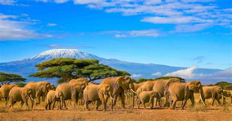 The 6 Most Fascinating Kenyan Landscapes African Safari Tours And