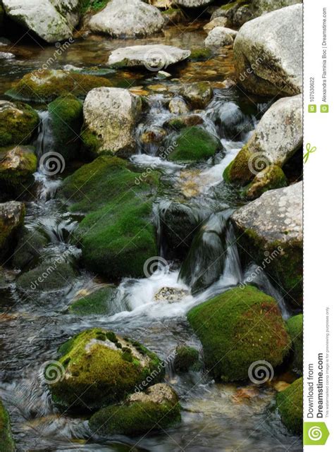 Close Up Of Moss Covered Rocks With Spring Creek Flowing Over Them