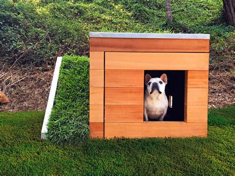 This Modern Dog House Is Made With Grass Ramp And An Automatic Water