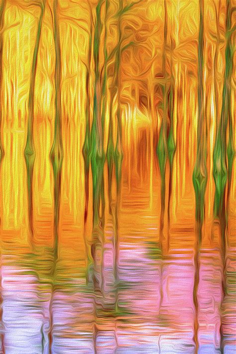 Cypress Tree Reflections Photograph By Linda Andrews Fine Art America