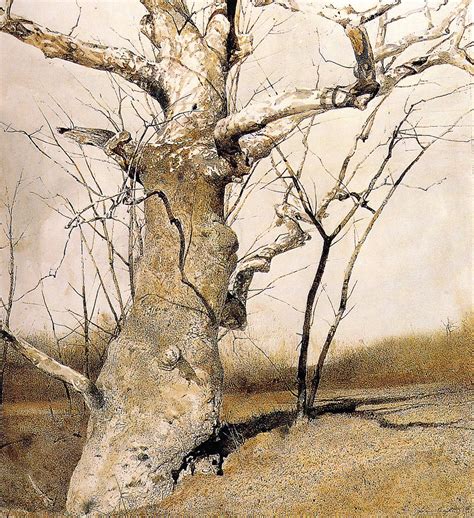 Sycamore 1982 Andrew Wyeth Andrew Wyeth Paintings Andrew Wyeth Art
