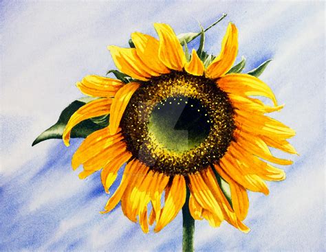Sunflower Watercolour Painting By Thelastcelt On DeviantArt