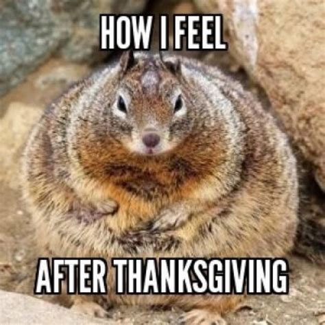 Funny Thanksgiving Memes From The Internet S Early Days Funny