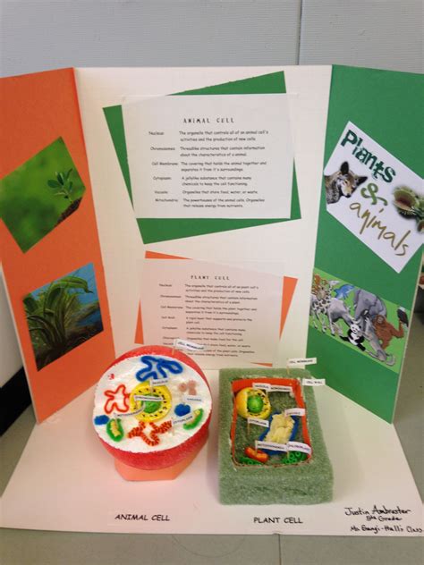 Maybe you would like to learn more about one of these? 3D Plant & Animal Cell Project Deborah Gangi-Hall McKinley ...