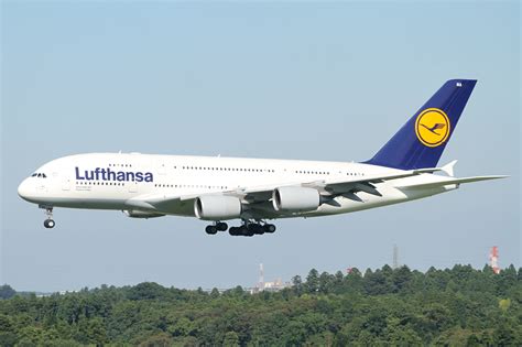 Filelufthansa A380 800d Aima 4852728827