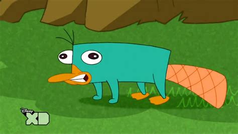 Perry The Platypus Meme ~ Everyday Memes God Stray Further Meme Away