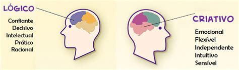 Como Podemos Aprofundar E Melhorar Nossa Racionalidade E Percepção