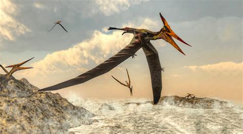 The Original Story Of Flight Pterosaur Precursors Discovered That Fill Gap In Early