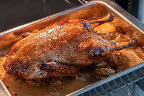 Wie lange braucht eine Ente im Backofen 2kg 5kg
