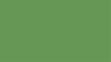 Muted Green Similar Color 659952 Information Hsl Rgb Pantone